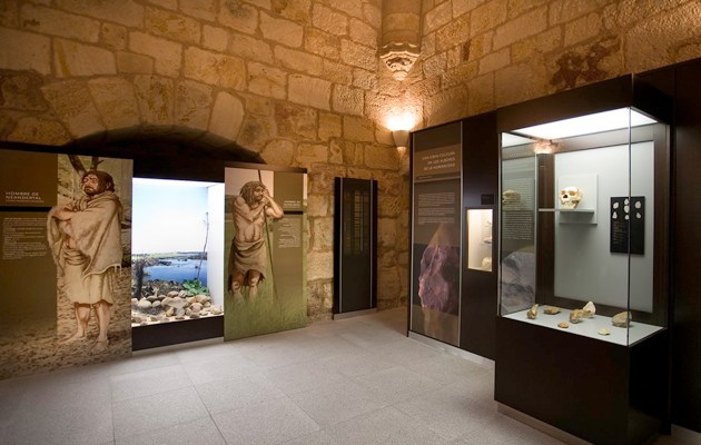 Imagen Museo Arqueológico Del Padre Belda