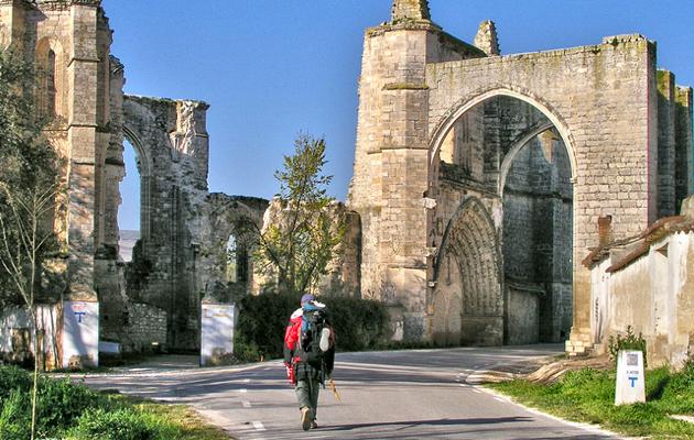 Imagen Camino de Santiago