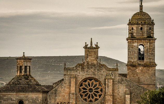 Imagen Ex-colegiata de Nuestra Señora del Manzano