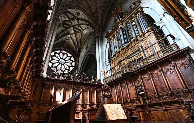 Imagen Ex-colegiata de Nuestra Señora del Manzano