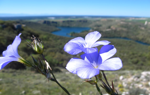 Imagen Cerro de San Blas