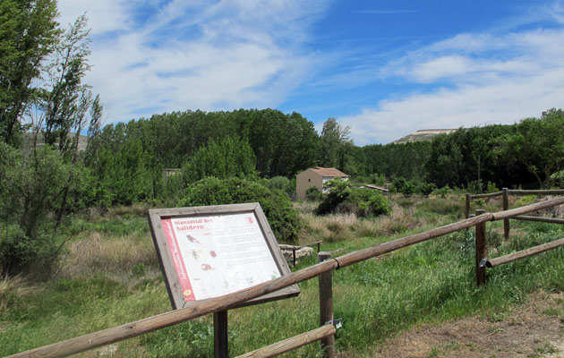 Imagen Manantial del Salidero