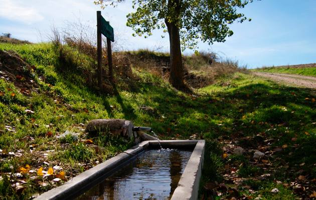 Imagen Manantial del Salidero