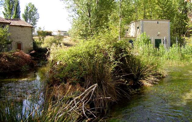 Imagen Manantial del Salidero