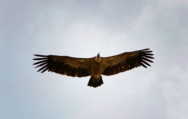 Imagen Paraje Natural de La Serranilla