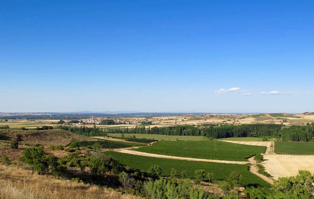 Vista panorámica de la ribera del duero desde el sendero de las fortificaciones