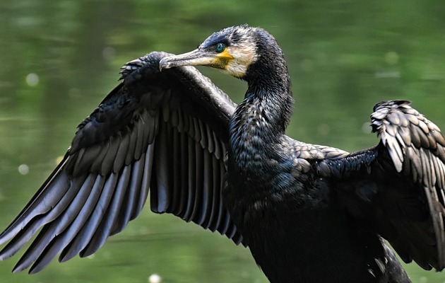 Imagen Barrio de Carrascal