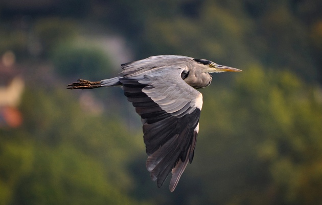 Imagen Zudas e Islas