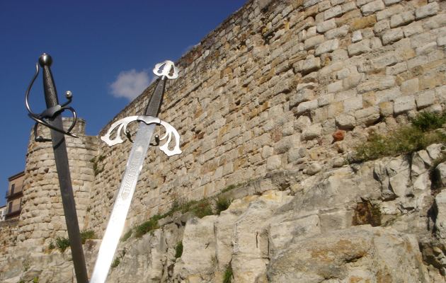 Imagen Murallas de Zamora