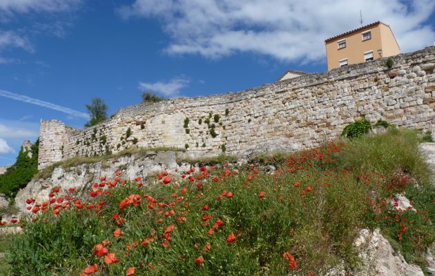 Imagen Murallas de Zamora