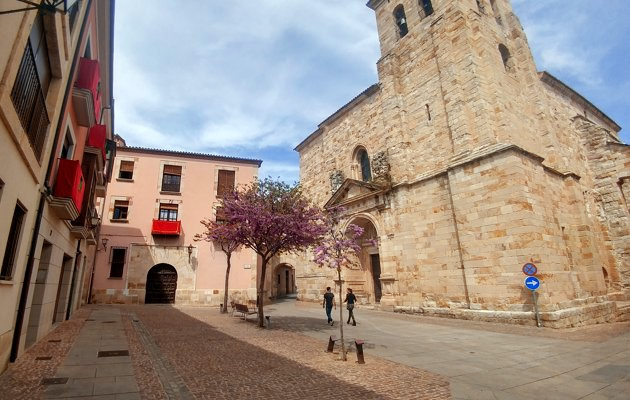 Imagen San Pedro y San Ildefonso