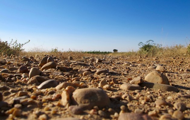 Primer plano del suelo en un tramo del sendero de las fortificaciones, turismo activo en Burgos