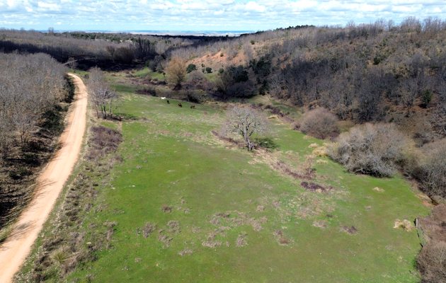 Sendero del Arrollo - Aldeanueva de la Serrezuela